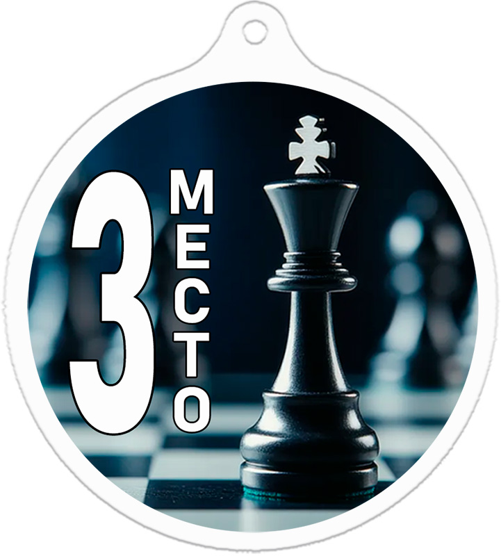 Медаль шахматы 3 место