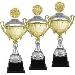 Кубок Георг 3 место