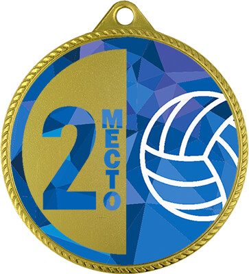 Медаль Волейбол 2 место