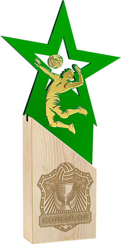 Награда волейбол