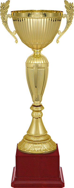 Кубок Рамиль  (бордо)