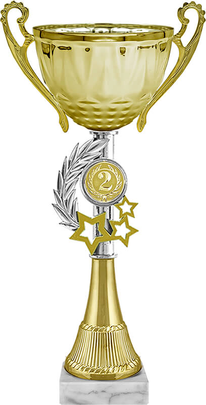 Кубок Ричик 2 место