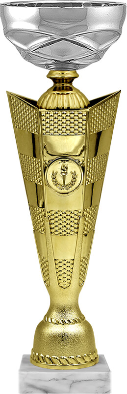 Кубок Такуми