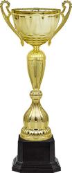 Кубок Рамиль