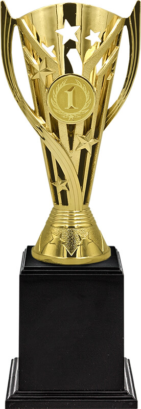 Кубок Пеппи 1 место
