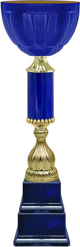 Кубок Квинтин