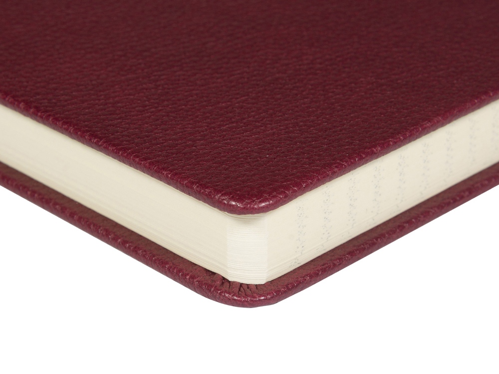 Ежедневник А5 датированный Megapolis Loft на 2026, бордовый