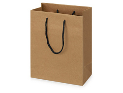 Пакет подарочный Kraft S, 23x30x12 см Пакет подарочный Kraft S, 23x30x12 см