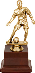 Награда Футбол